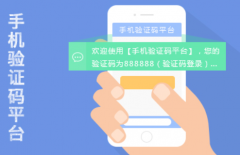 12306一开售就是候补是不是因为接收不到验证码手