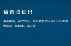 现在不用手机验证码可以登录支付宝吗